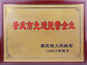 肇慶市先進(jìn)民營企業(yè)