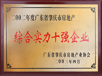 綜合實力十強(qiáng)企業(yè)
